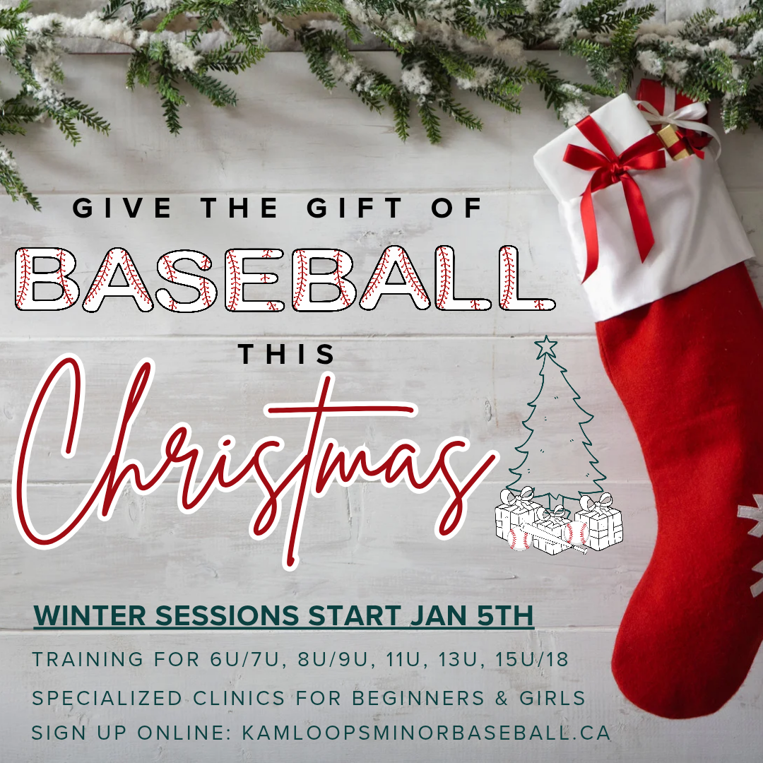 Teal and White Christmas Icons Christmas Instagram Post_20251231_153821_0000